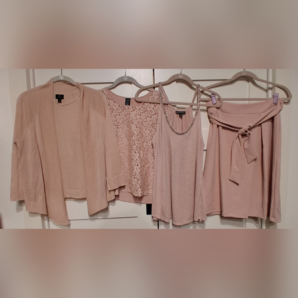 Worthington (JC Penney) Blush Pink Skirt Size 10P + Blouse, Tank,  Cardigan- 4pc